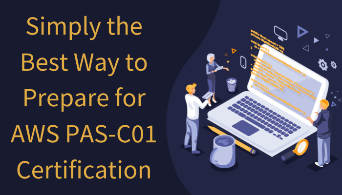 Acquiring practical skills makes you an asset in the dynamic landscape of SAP on AWS (PAS-C01) integration.